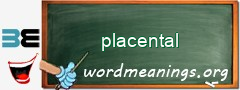 WordMeaning blackboard for placental